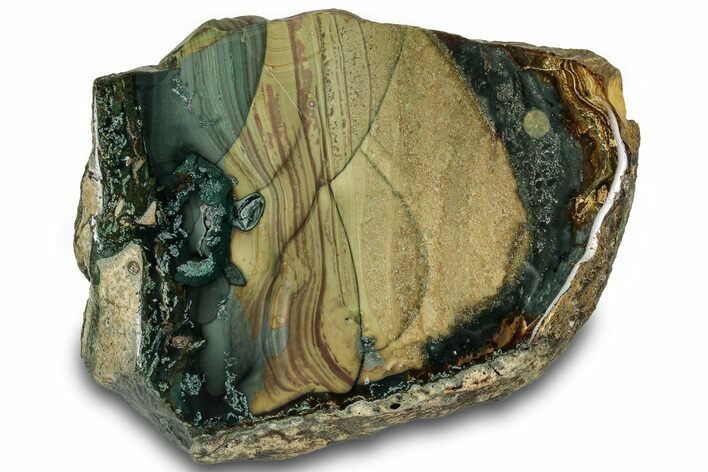 Polished Section of Blue Mountain Jasper - Oregon #316128